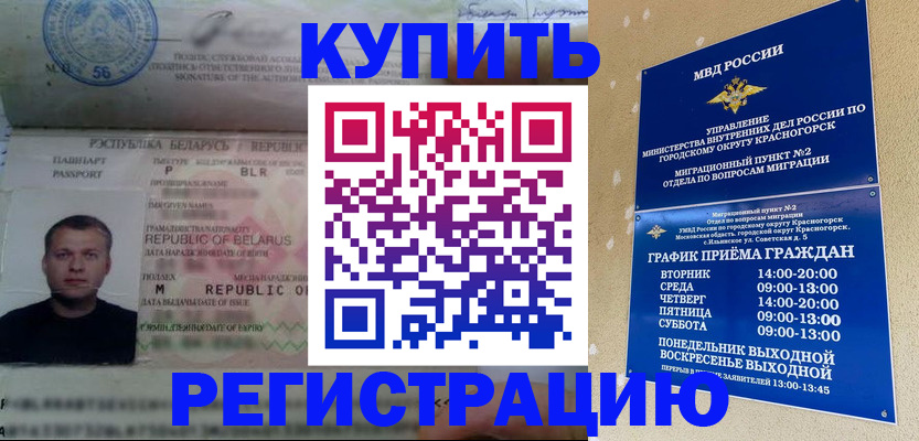 прописка законно в Клинцах